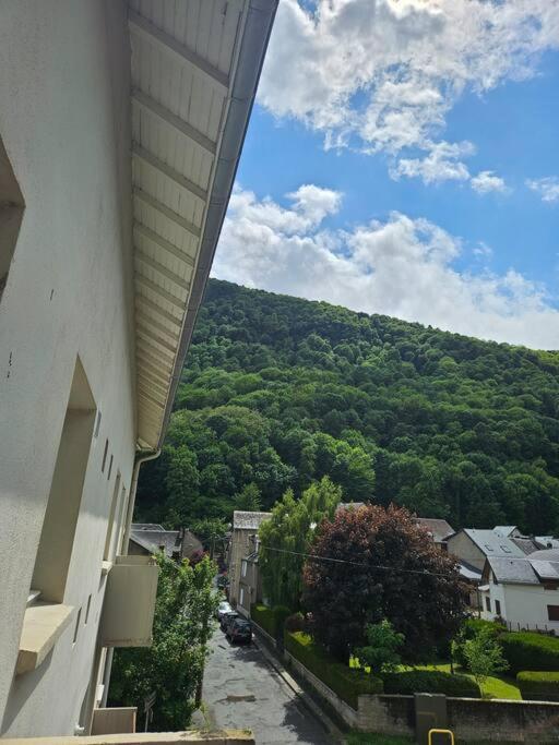 Chez Louise, Appartement T3 A Deux Pas Du Centre Bagnères-de-Luchon Buitenkant foto